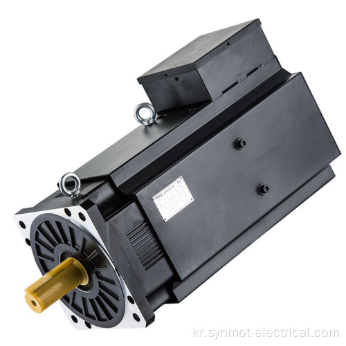 SYNMOT 51KW 287nm 1700RPM 동기 서보 모터